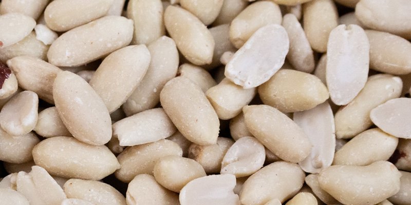 Blanched Peanuts