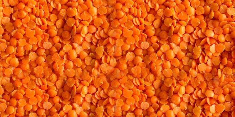 Red Lentils